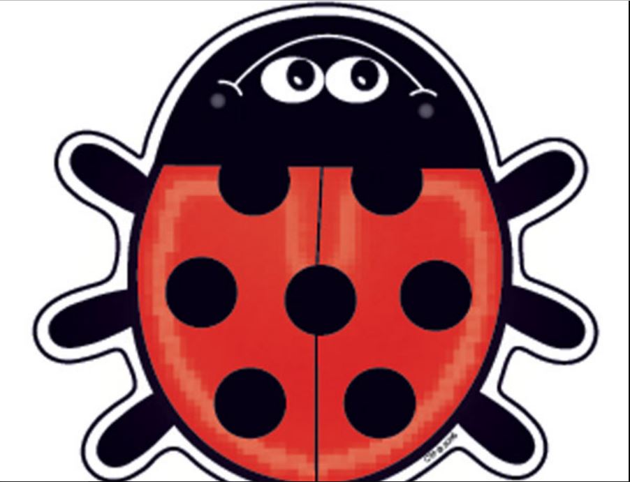 LADYBUG DESIGNER