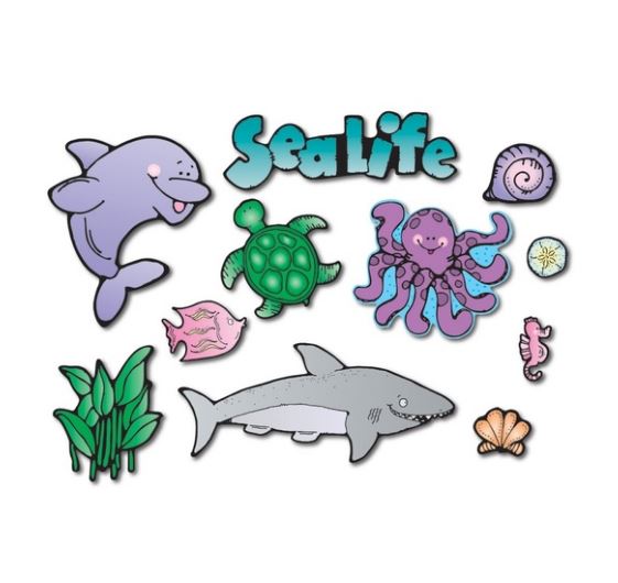 SEA LIFE