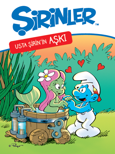 Usta Şirin’in Aşkı (Dvd)