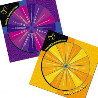 READING COMP. SPINNERS