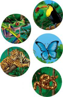 RAIN FOREST ANIMALS STICKERS