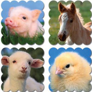 Baby Farm Scratch’n Sniff Stickers